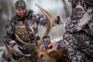 Top Provinces for Elk Hunting in Canada: Where to Find Trophy Bulls