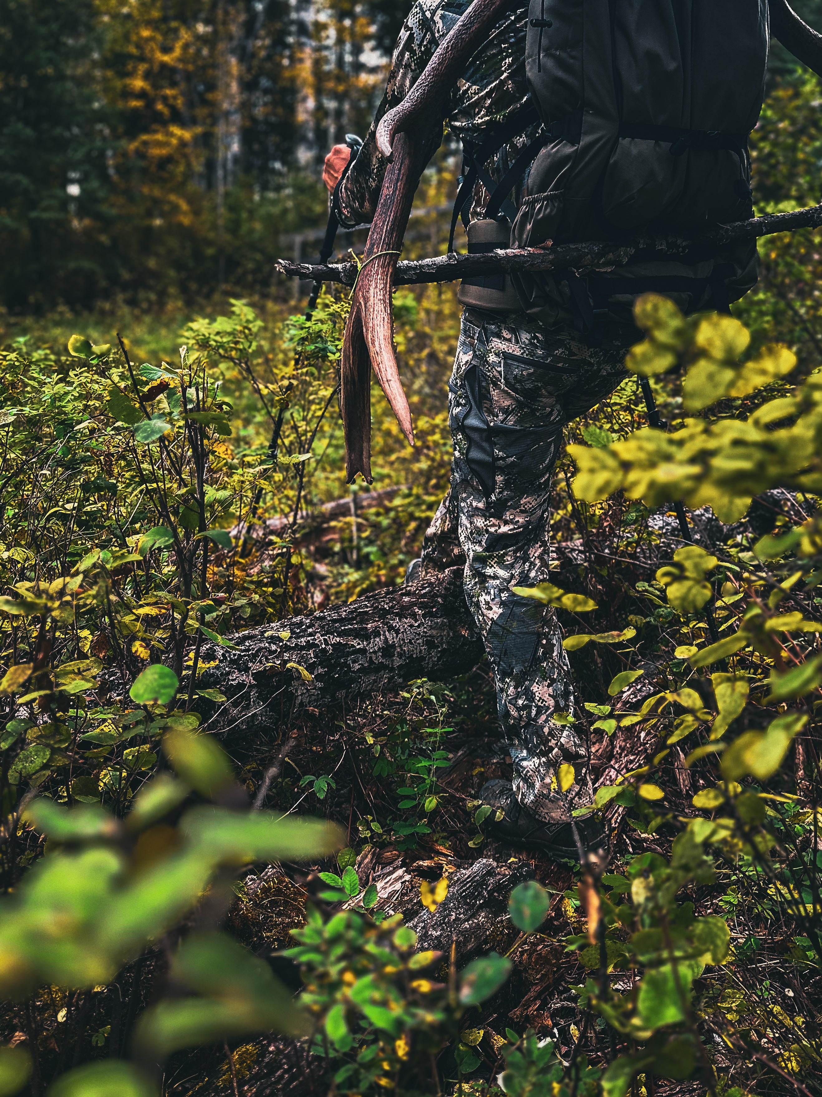 Packing and Preparing for an Elk Hunting Trip: A Comprehensive Guide