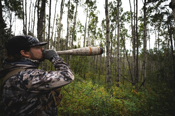 Mastering the Art of Elk Calling: Techniques for Every Season