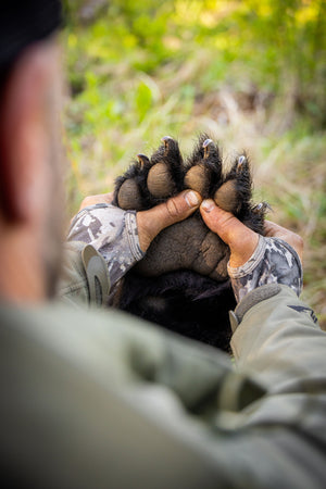 Spring Bear Hunting: Why It Might Be the Most Underrated Hunt of the Year