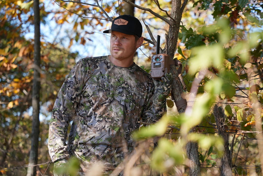 Wasatch Collection Spotlight