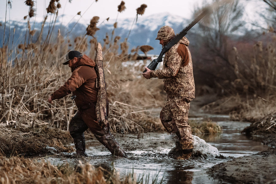 Waterfowl