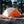 Cascade Tent