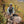 Kaibab 150 Merino Top 1/4 Zipper