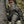 Hardscrabble Pant