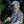 Sawtooth Jacket